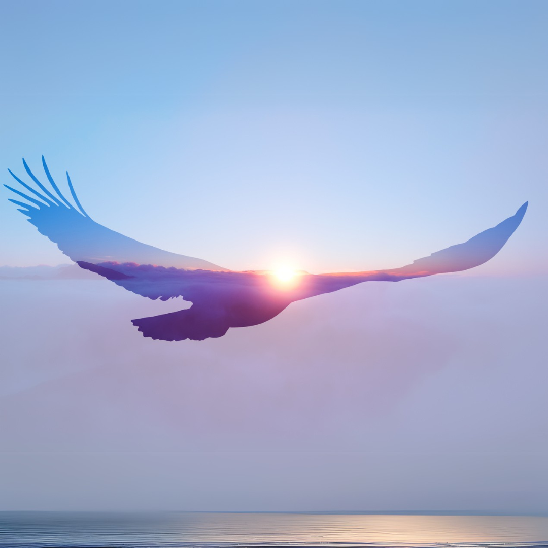 eagle sunrise