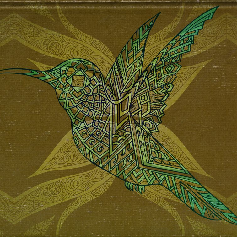 flight of a hummingbird